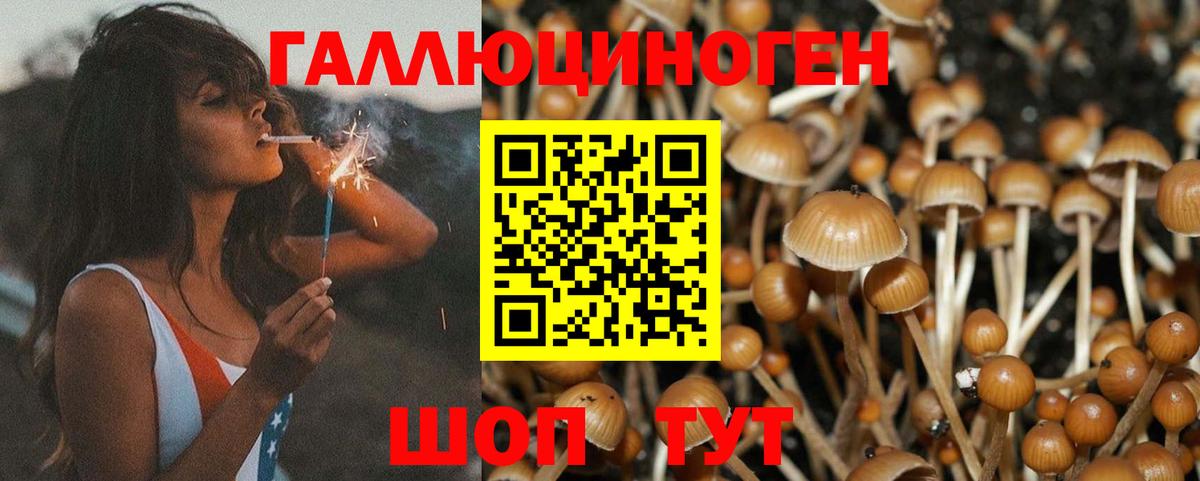 Галлюциногенные грибы мухоморы  Вход с VPN  Томск 